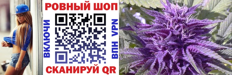 ГАШ Славск