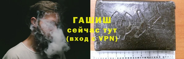 хмурый Алексин