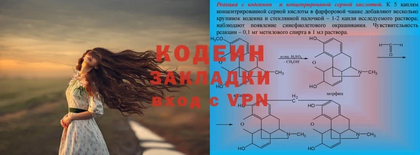 хмурый Алексин