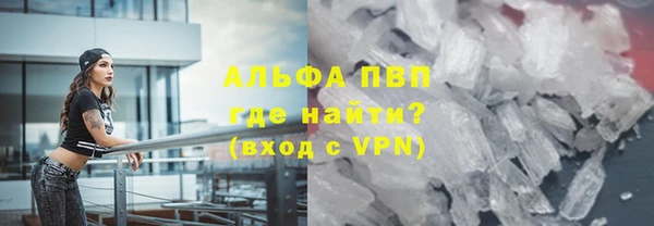 хмурый Алексин