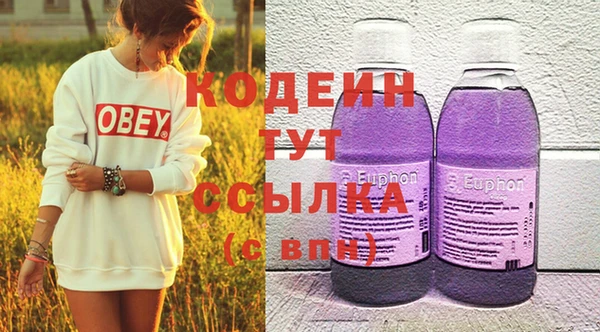 хмурый Алексин