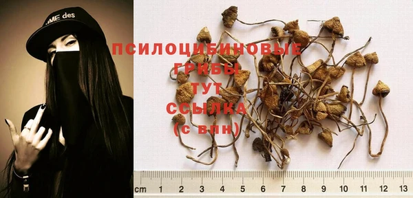 герыч Алексеевка